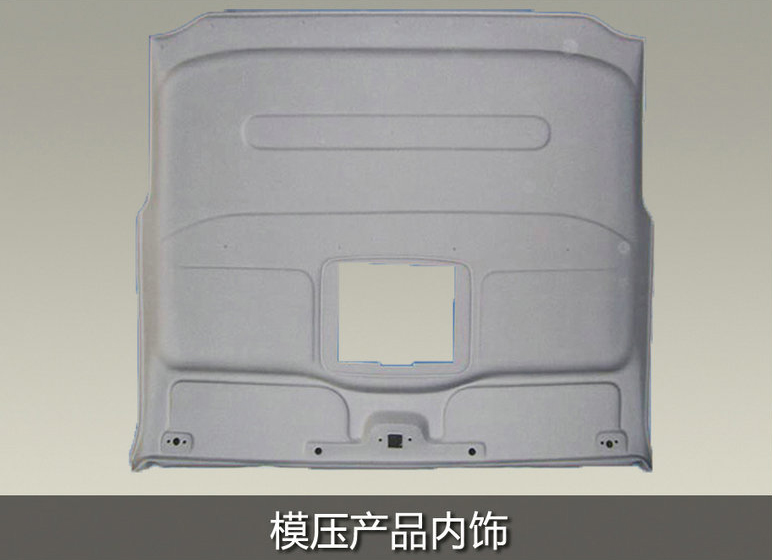 molded product trim