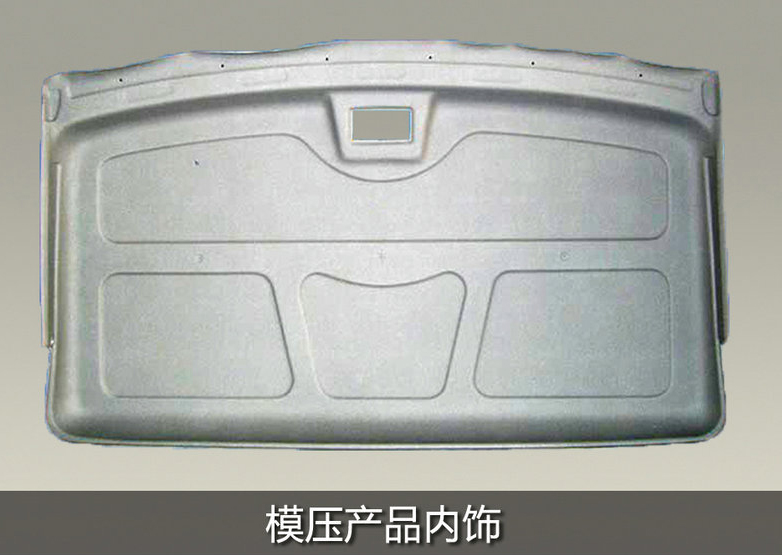 molded product trim