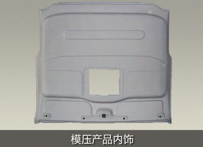 molded product trim