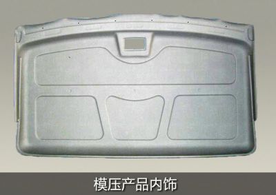 molded product trim