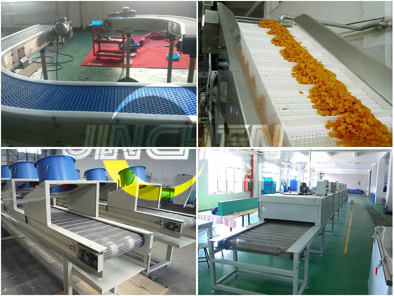 塑鋼網(wǎng)帶輸送機(jī)、金屬網(wǎng)帶輸送機(jī)、爬坡網(wǎng)帶輸送機(jī)、網(wǎng)帶輸送機(jī)