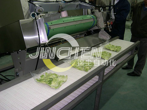 塑鋼網(wǎng)帶輸送機(jī)